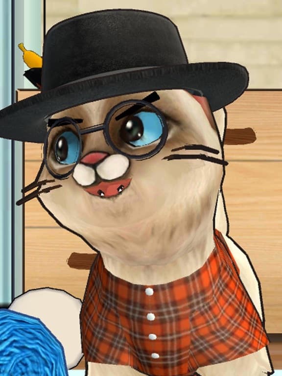 Macho Cat: Pet Cat Simulator screenshot 3