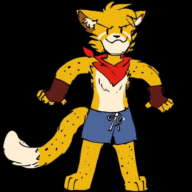 Speed of Cheetah