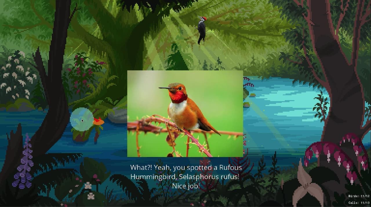 Birding PNW (beta) screenshot 4