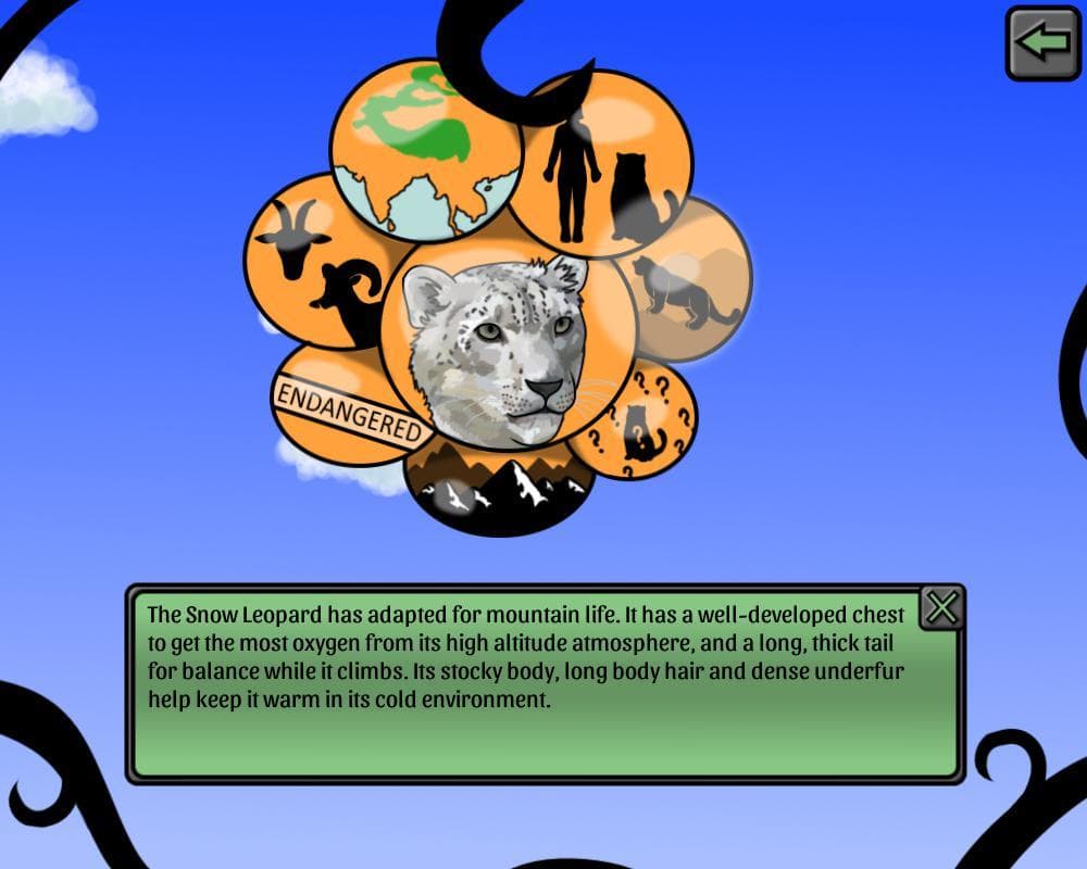 Felidae Phylogenetic Tree screenshot 2