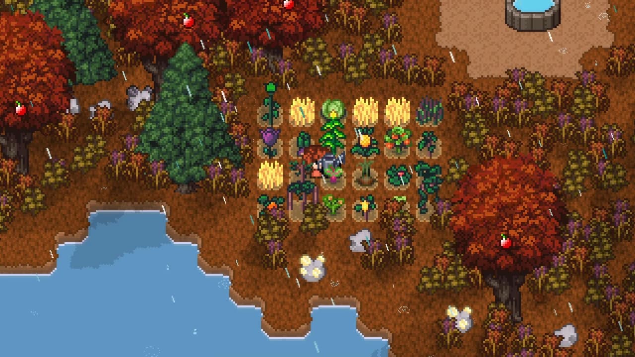 Island Berry screenshot 4