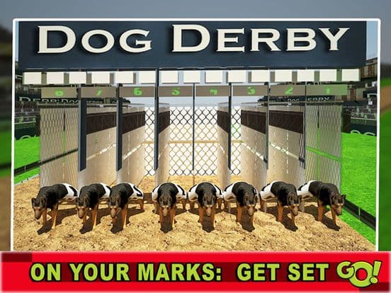 Race Dog Racer Simulator 2016 – Virtual Racing Championship with Real Police Dogs