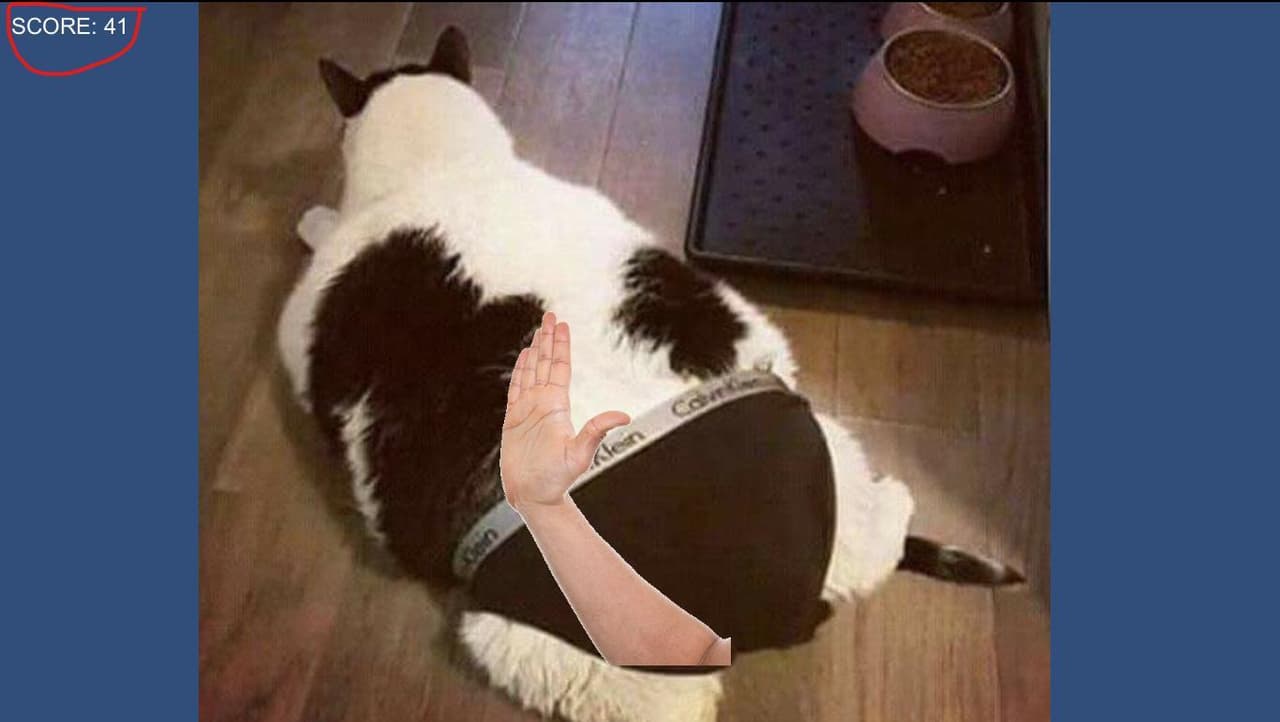 CatSlapp screenshot 2