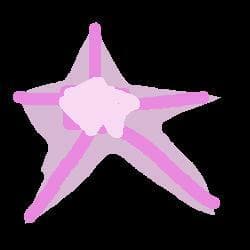 Star Fly