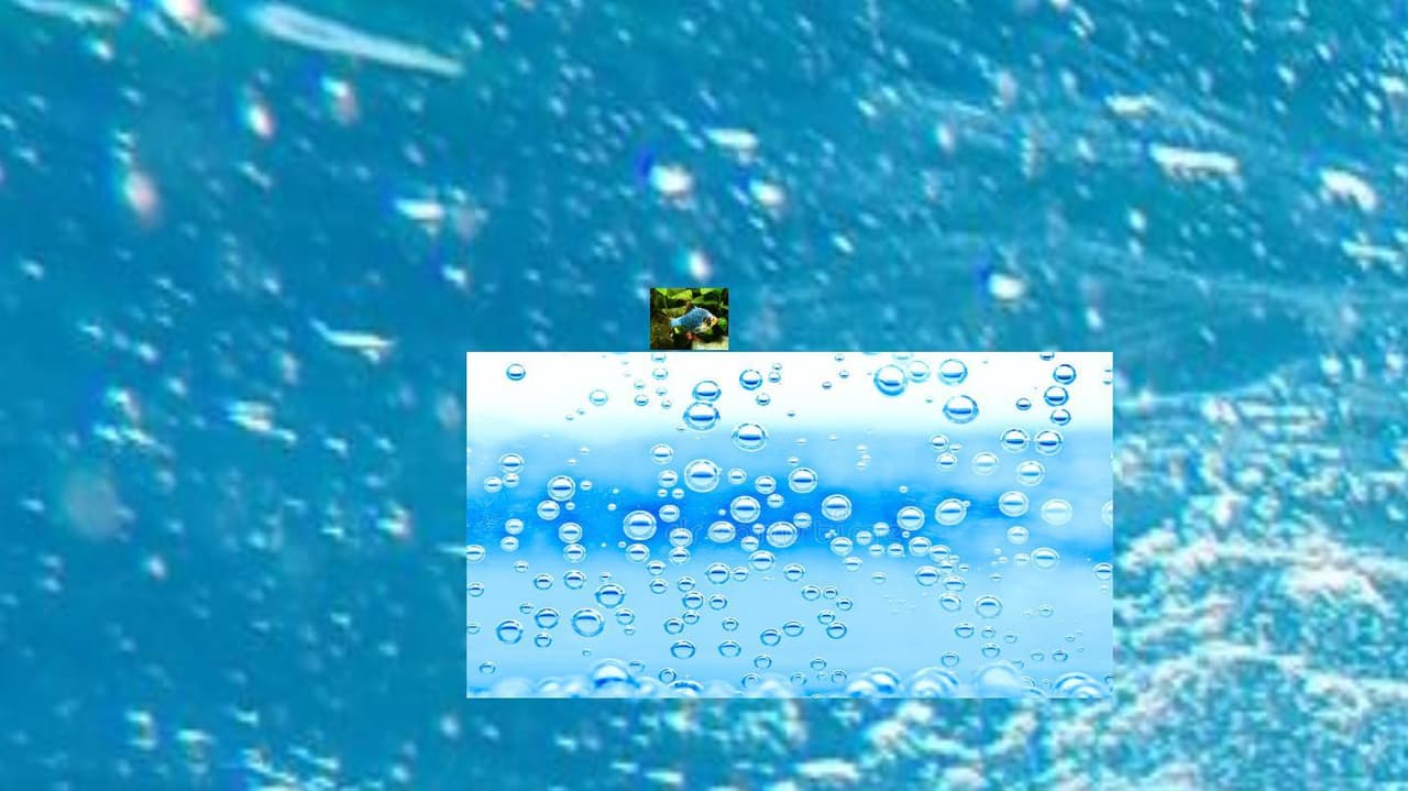 Rybicka simulator