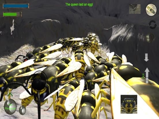 Wasp Nest Simulation Full screenshot 4