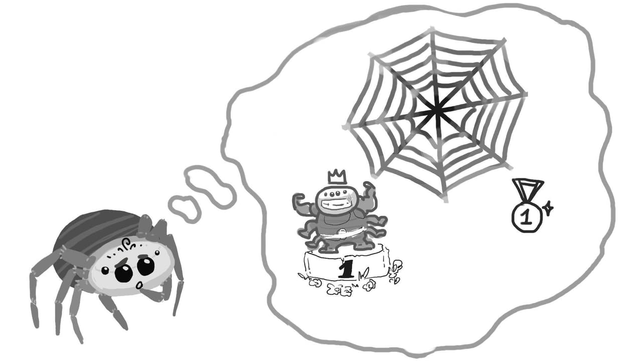 SpiderWise