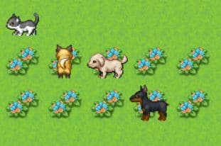 OAK Adventure Catch Up
