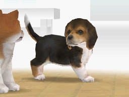 Nintendogs: Labrador & Friends screenshot 2