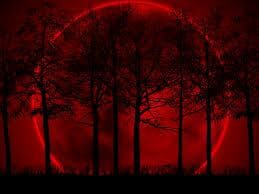 Reflejos de sangre