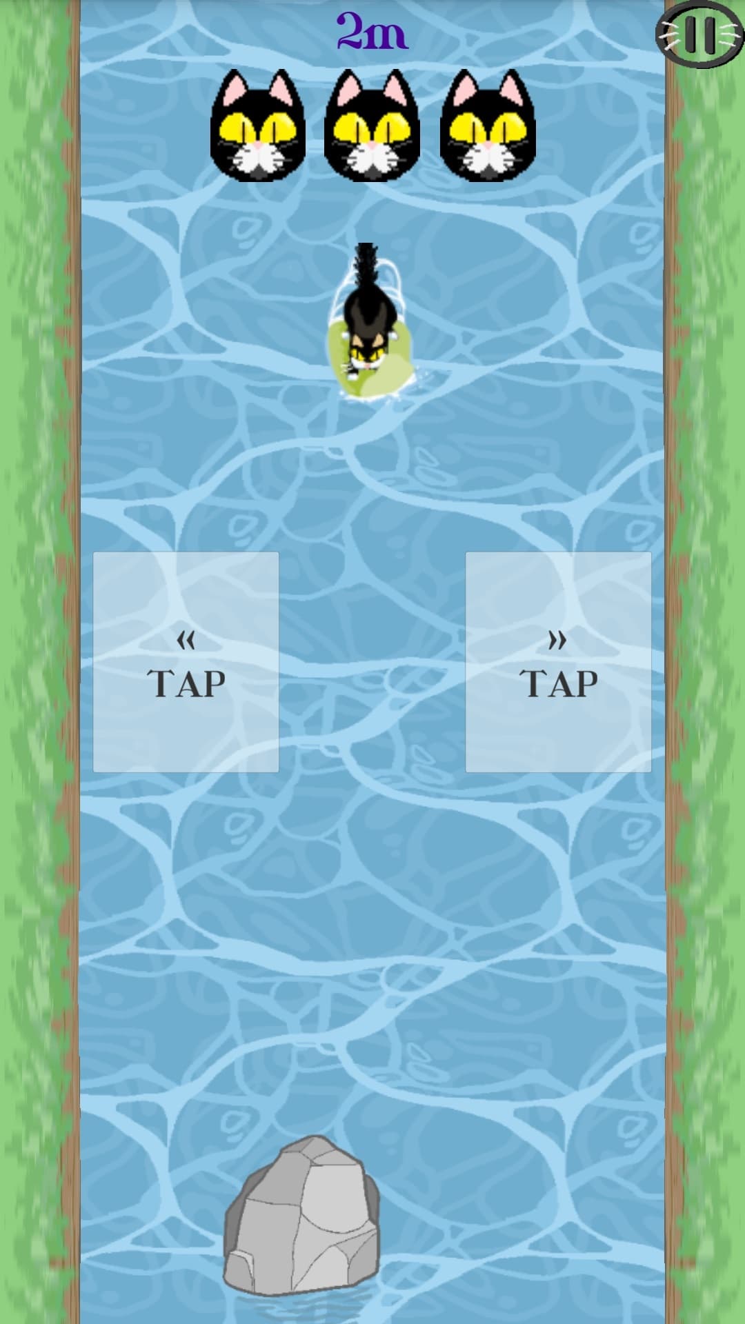 CatRaft screenshot 4