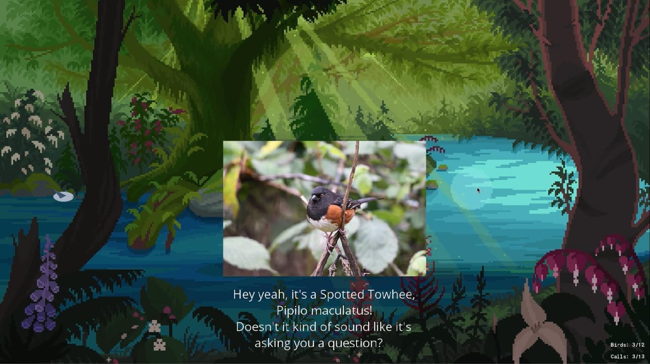 Birding PNW (beta)