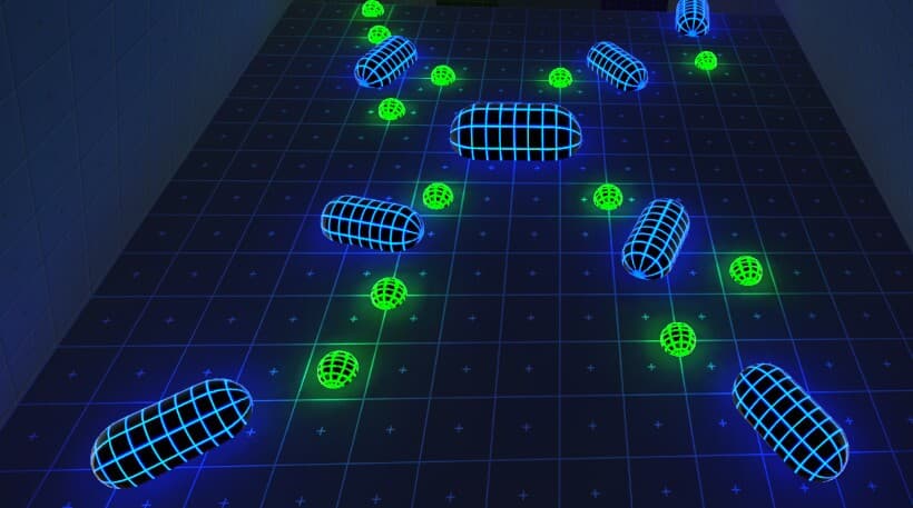 MVR screenshot 2