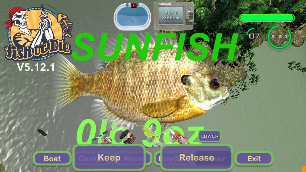 Fish or Die screenshot 4