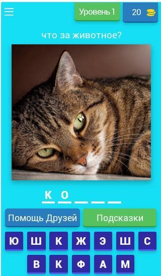 Как хорошо ты знаешь животных screenshot 2