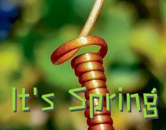 Its Spring