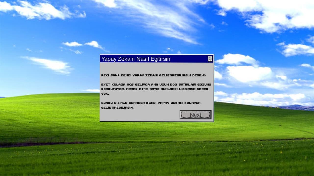 Yapay Zekanı Nasıl Eğitirsin screenshot 3