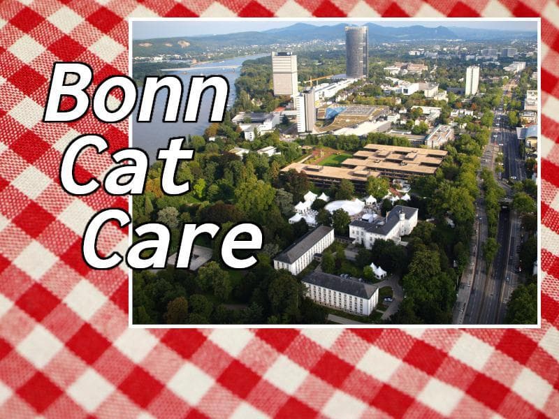 Bonn Cat Care