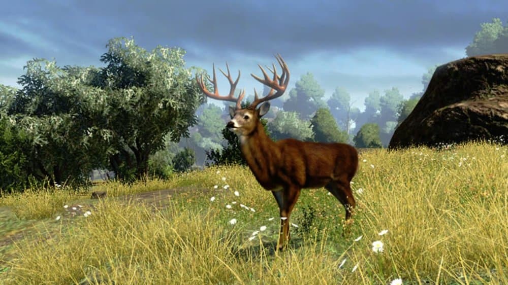 Outdoor Adventures screenshot 2
