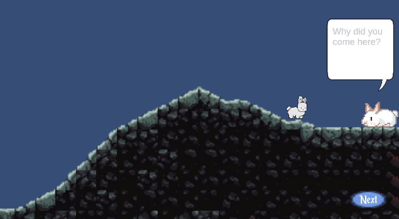 The Lost Bunny