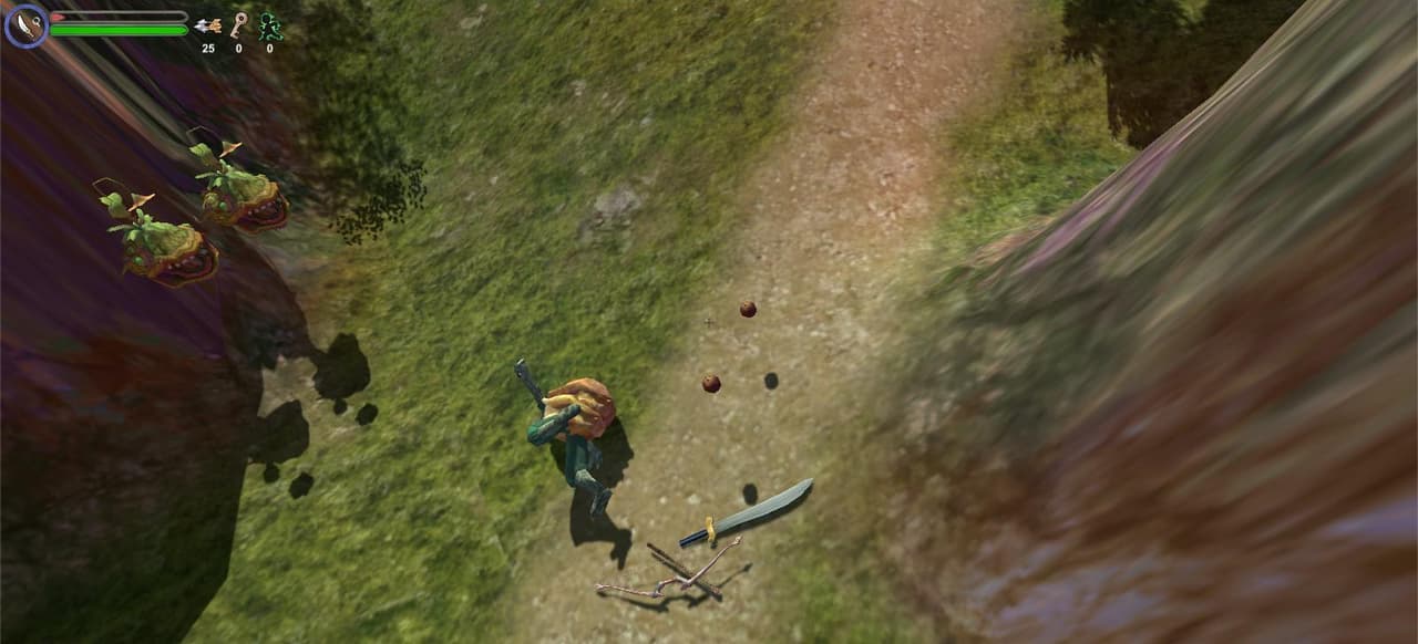 Ranger Tortoises Quest