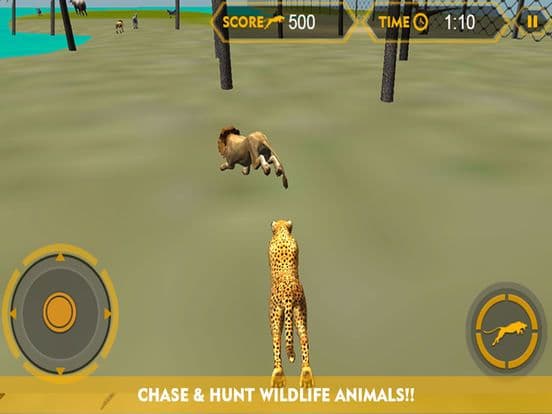 Wildlife cheetah Attack simulator 3D – Chase the wild animals, hunt them in this safari adventure screenshot 4