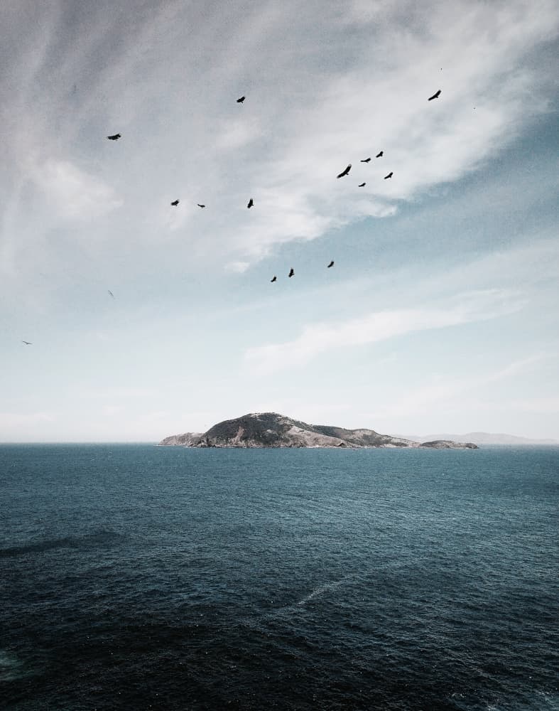 Island (itch) (BunkBedStudios) (BunkBedStudios)