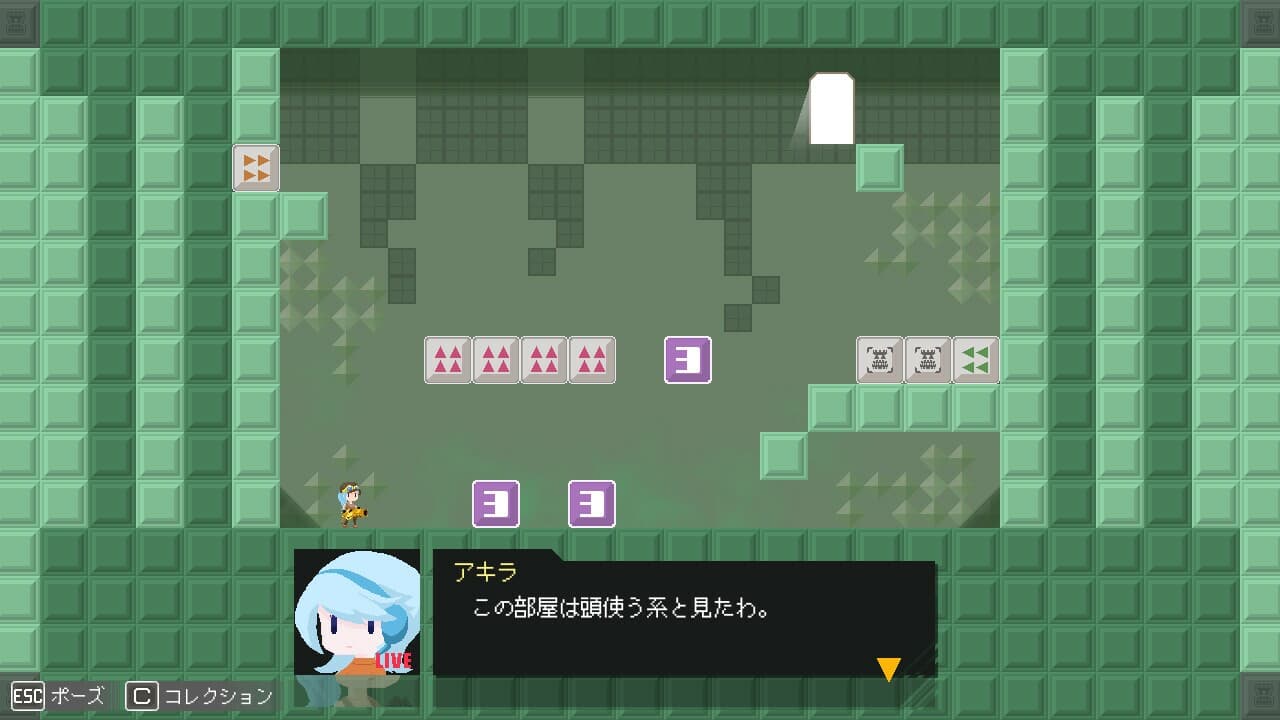 Labyrinth of the Chaka King screenshot 5