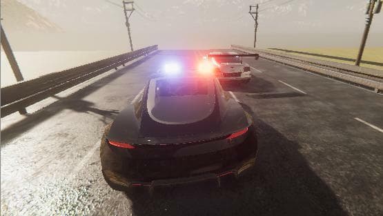 Police Race