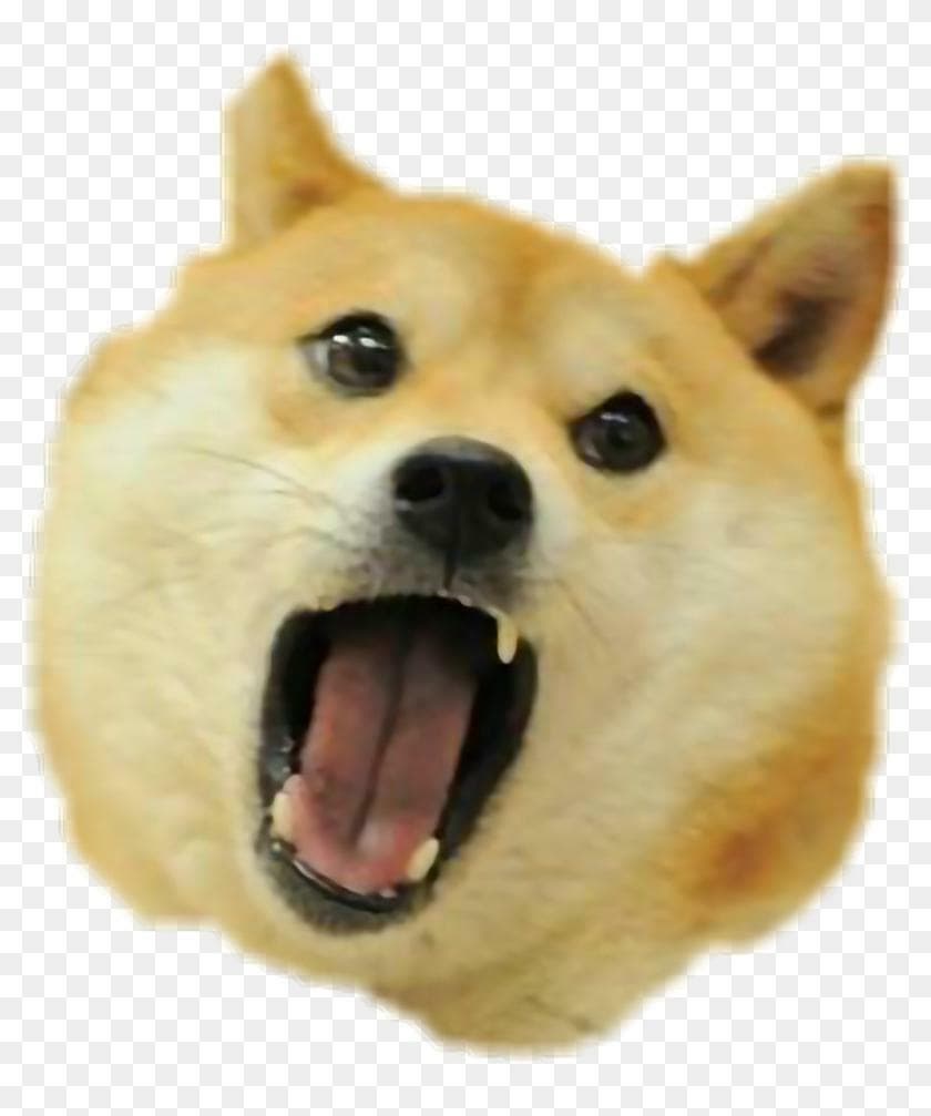DOG SIMULATOR - END OF THE WORLD