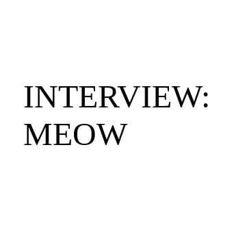 Interview Meow