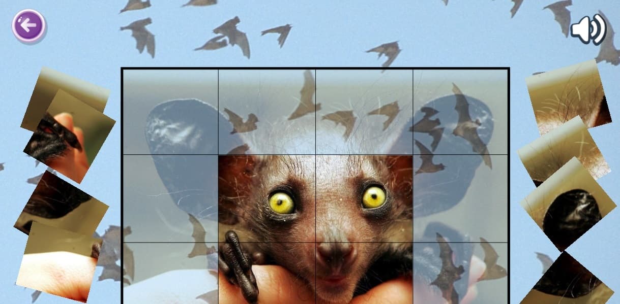 Mouse Puzzles screenshot 2