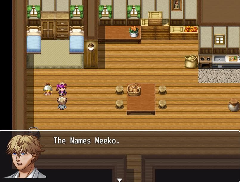 The Adventures of Meeko! screenshot 2
