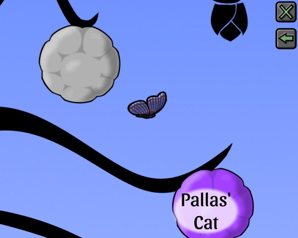 Felidae Phylogenetic Tree screenshot 4