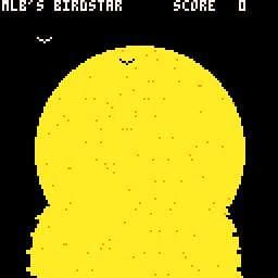 BIRDSTAR