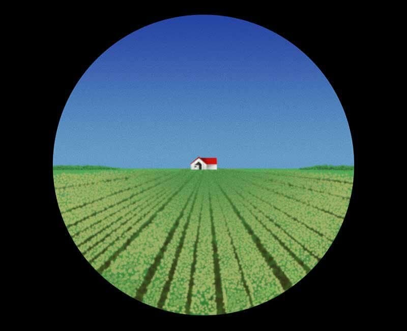 The Lone House