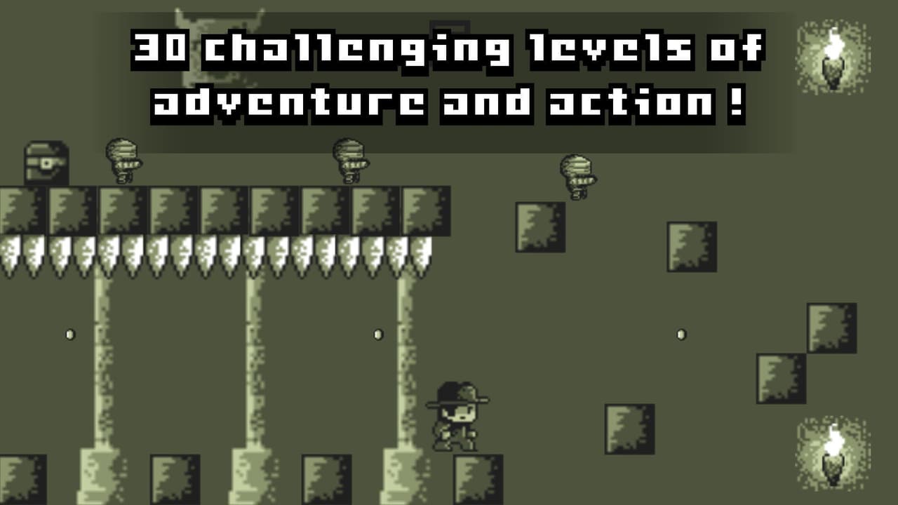 Treasure Hunter (itch) (FoxOnTheRun()) screenshot 2