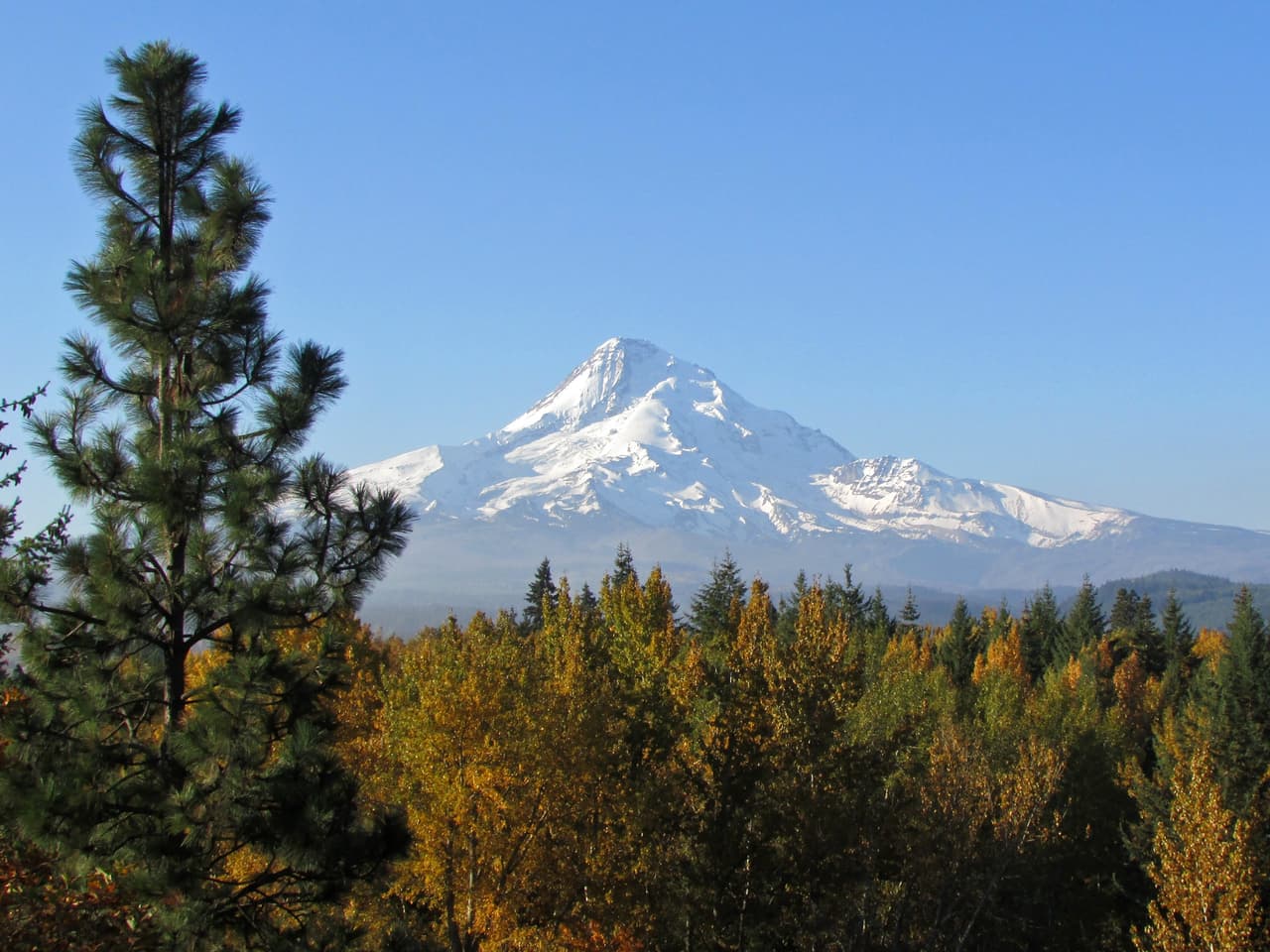 Misfits in the Pacific Northwest