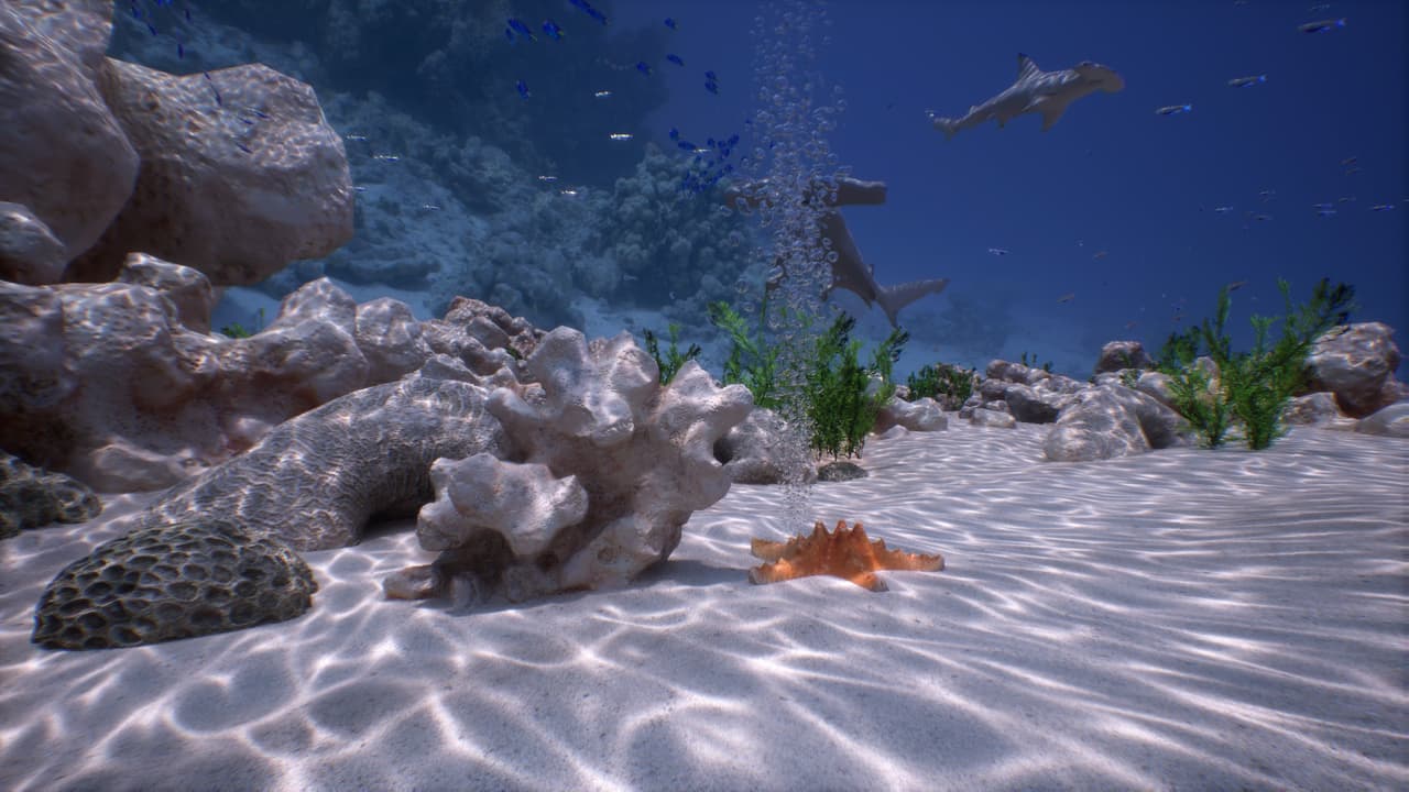 Simple-realistic Underwater VR screenshot 5