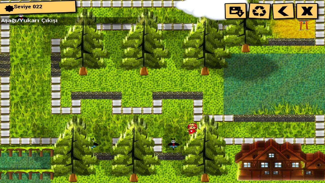 Labirent Kraliçesi screenshot 4