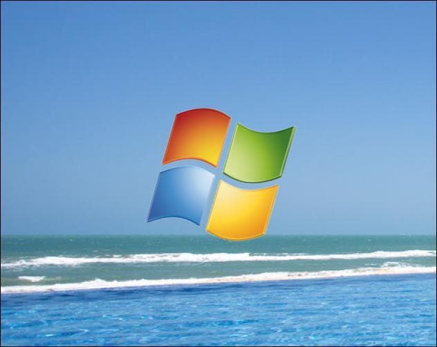 Windows Tarantula