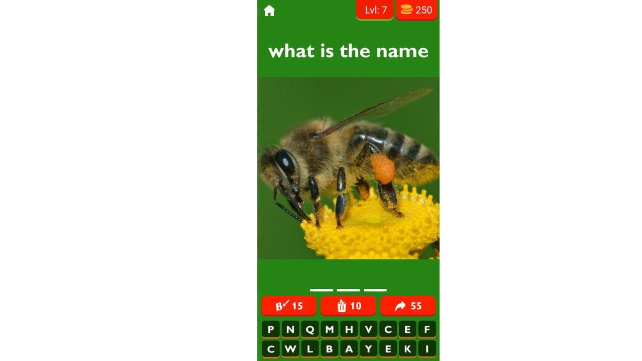 All Animal Pics Quiz screenshot 4