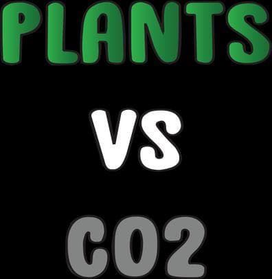 Plants vs CO2 (DandaraSalaun)