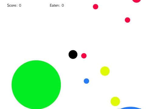 Dot Lunch