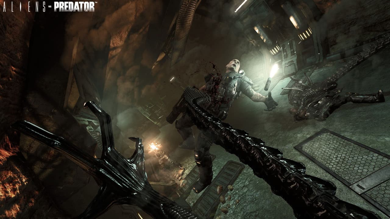 Aliens vs. Predator screenshot 4