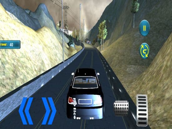 Police Car Driving Sim