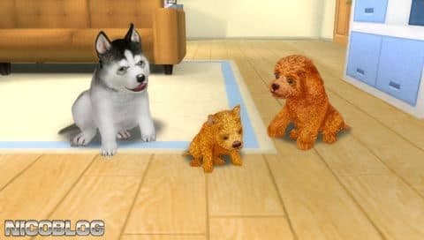 Petz: Dogz Family screenshot 3