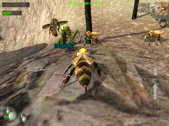 Bee Nest Simulator Full