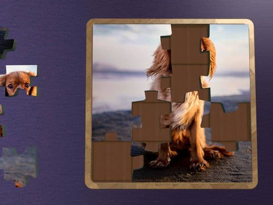 Super Jigsaws Dogs