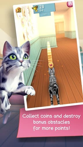 Cat Run screenshot 4
